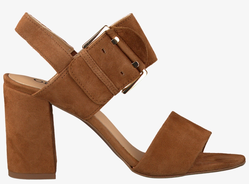 Sandal, transparent png download