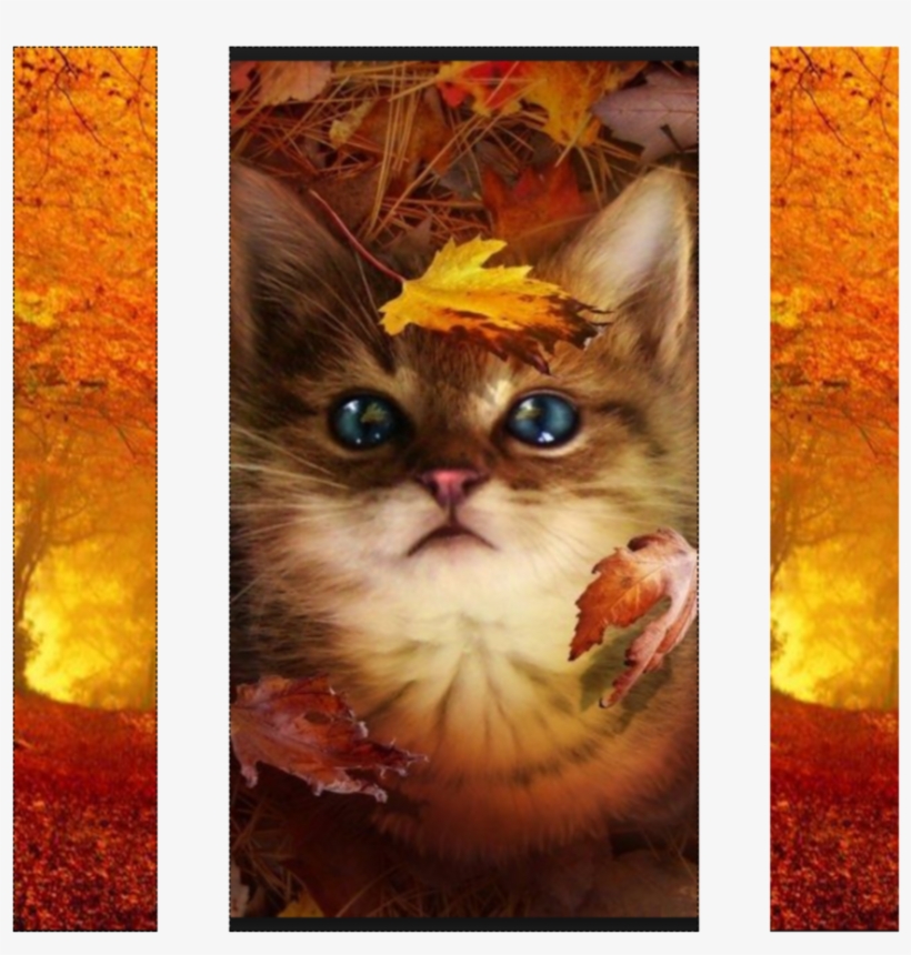 Autumn Clan Banner - Cute Fall Pictures With Animals, transparent png download