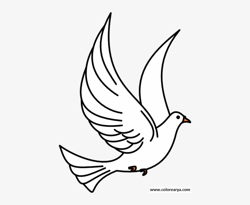 Related Wallpapers - Dove Clip Art, transparent png download