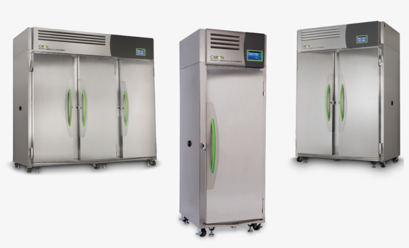 Plant Growth - Plants, transparent png download