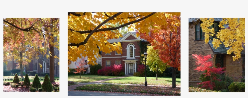 Autumn-banner - Autumn, transparent png download