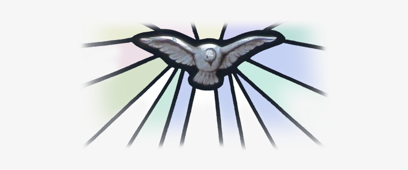 Parroquiasbrunoydomingo - Org - Paloma De La Confirmacion Png, transparent png download