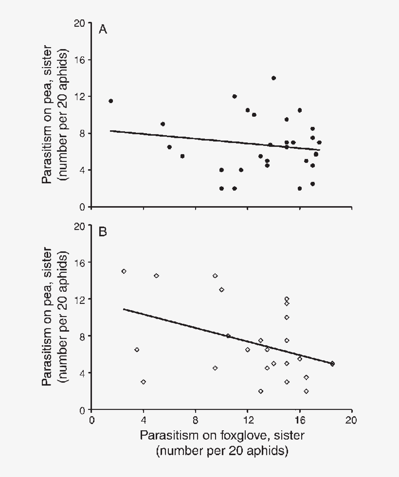 The Relationship Between Sisters In Their Ability To - Height Of Clear Liquid Interface Z Vs Settling Time, transparent png download