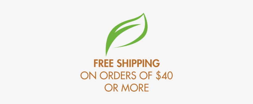 Free Shipping On Orders Of $40 Or More - Holy Friendship Quotes, transparent png download