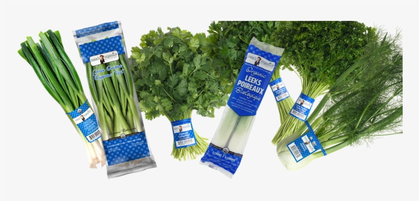 Beets - Parsley, transparent png download