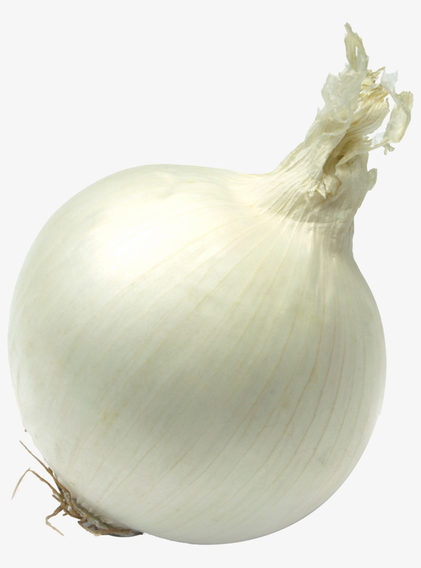 Single Onion Png Free Download - White Onion Transparent, transparent png download