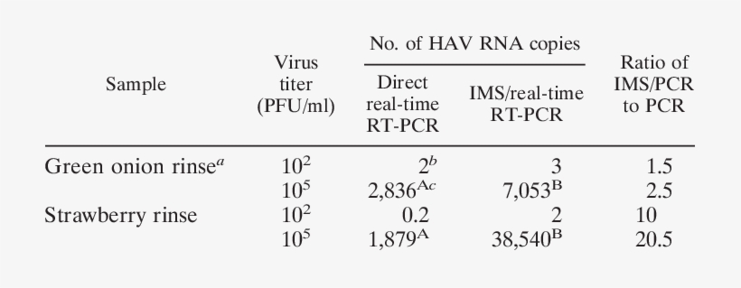 Quantification Of Hav Rna In Green Onion And Strawberry Ed Sheeran Lyrics Png Image Transparent Png Free Download On Seekpng seekpng