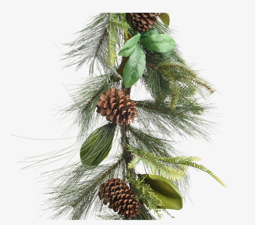 Green Garland With Pinecones - Christmas Day, transparent png download