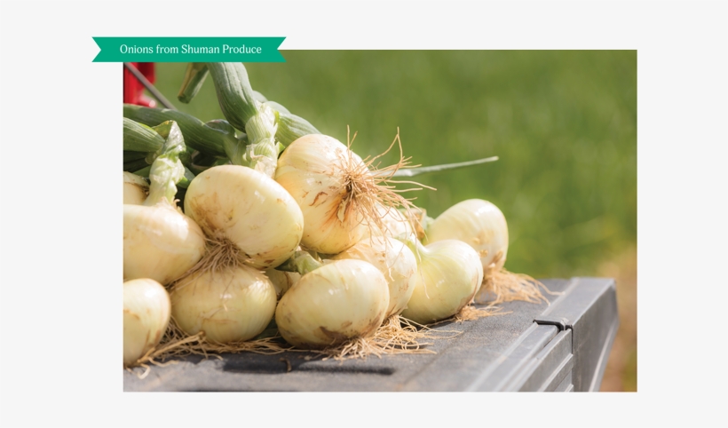 Vidalia Sweet Onions Are Commonly Purchased With Fresh - Root Vegetable, transparent png download