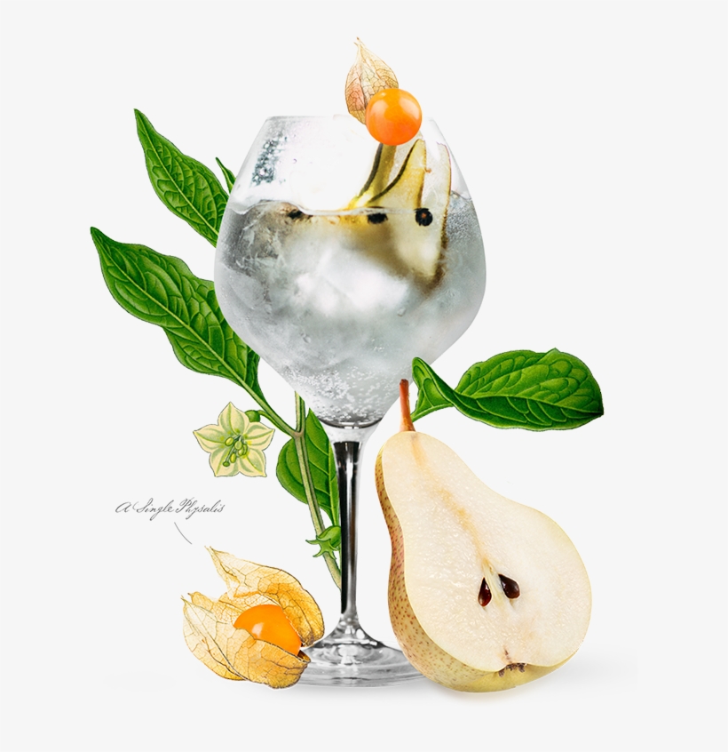 Apple And Pears Gin & Tonic - Gin Tonic Apple And Pear, transparent png download