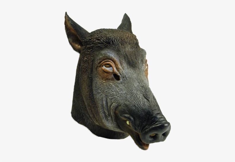 Wild Boar Latex, transparent png download