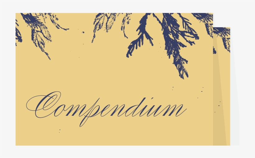 Featuring Varied Amounts Of Flourish And Swash, Candlescript - Font, transparent png download