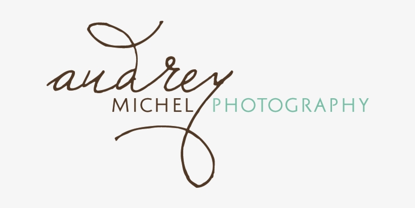 Designs Girl Logo Designed For Audreymichel Photography, - Text, transparent png download