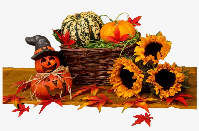 Halloween, Harvest, Autumn - Glücklicher Halloween-kürbis Rechteckiger Aufkleber, transparent png download