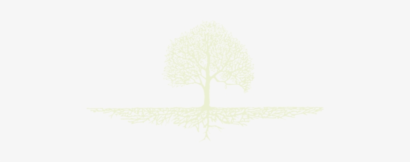 Tree With Roots - Minas Tirith Tattoo, transparent png download