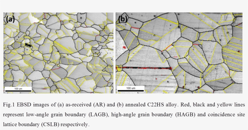 The Microstructure Evolution After Smgt Along The Depth - Map, transparent png download