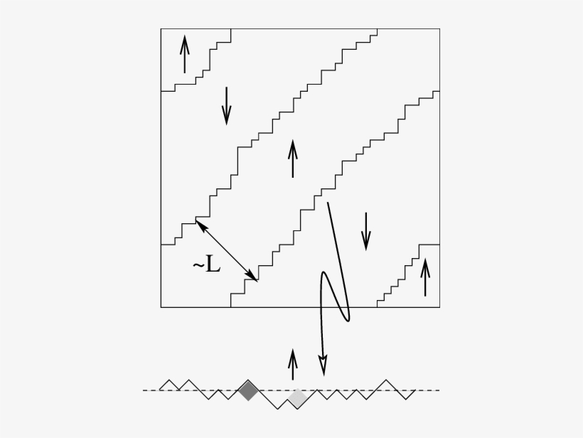 Diagonal Stripe Configuration On The Square Lattice - Diagram, transparent png download