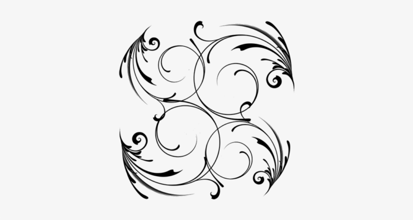 Cobweb Management - Floral Designs, transparent png download