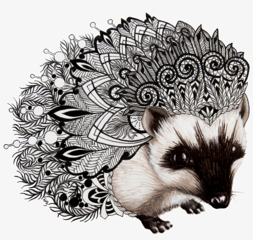 Hedgehog Zentangle - Zentangle Hedgehog, transparent png download