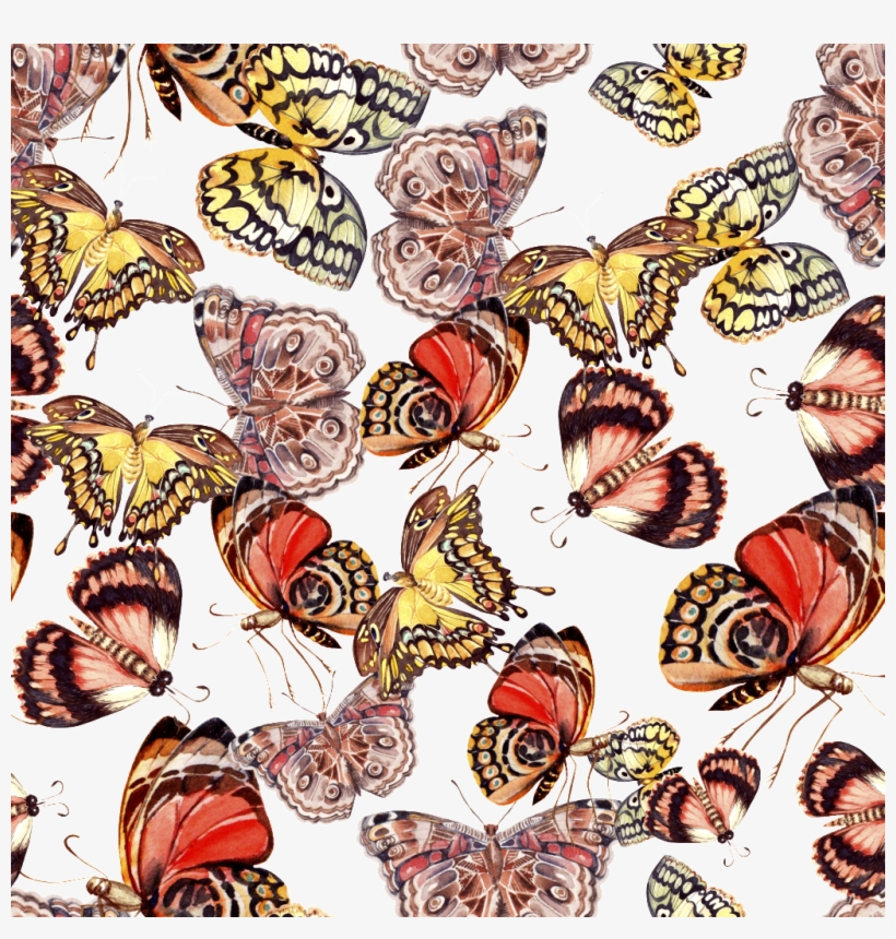 Png Gráfico Png Transparente Fondo Pintado De Mariposas - Portable Network Graphics, transparent png download