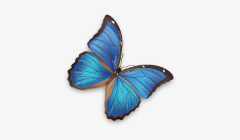 Butterfly Psd - Brush-footed Butterfly, transparent png download