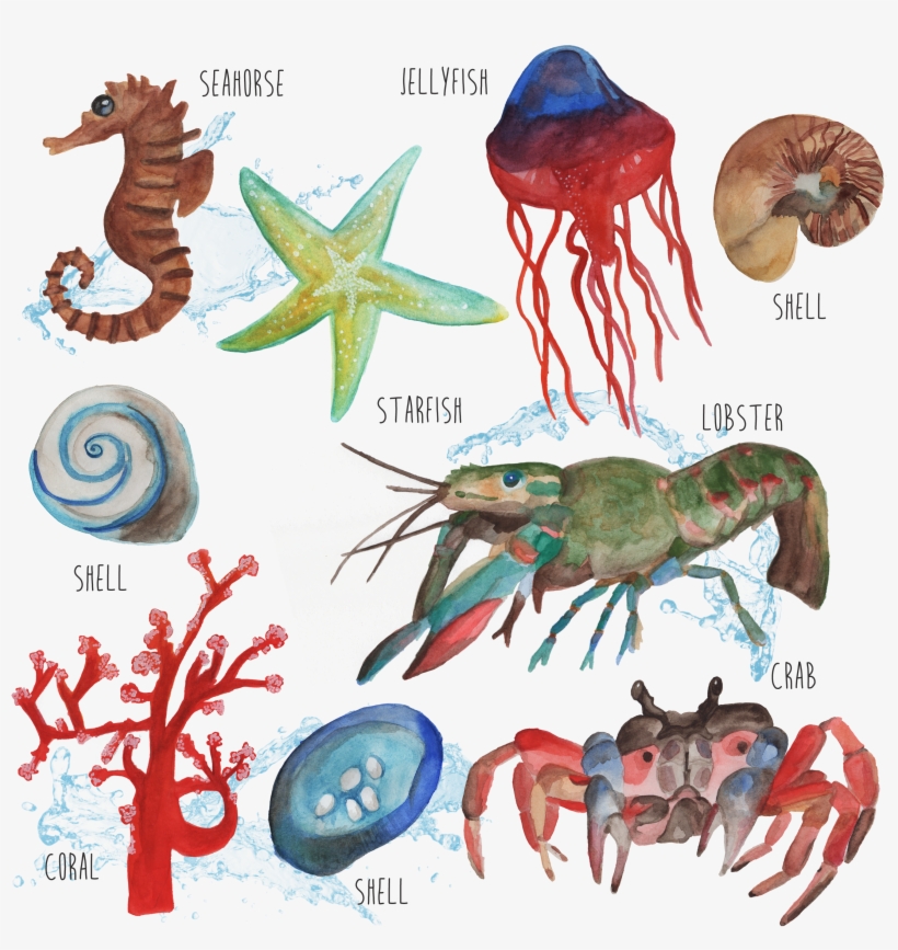 Podívejte Se Na Můj Projekt @behance - Crab, transparent png download