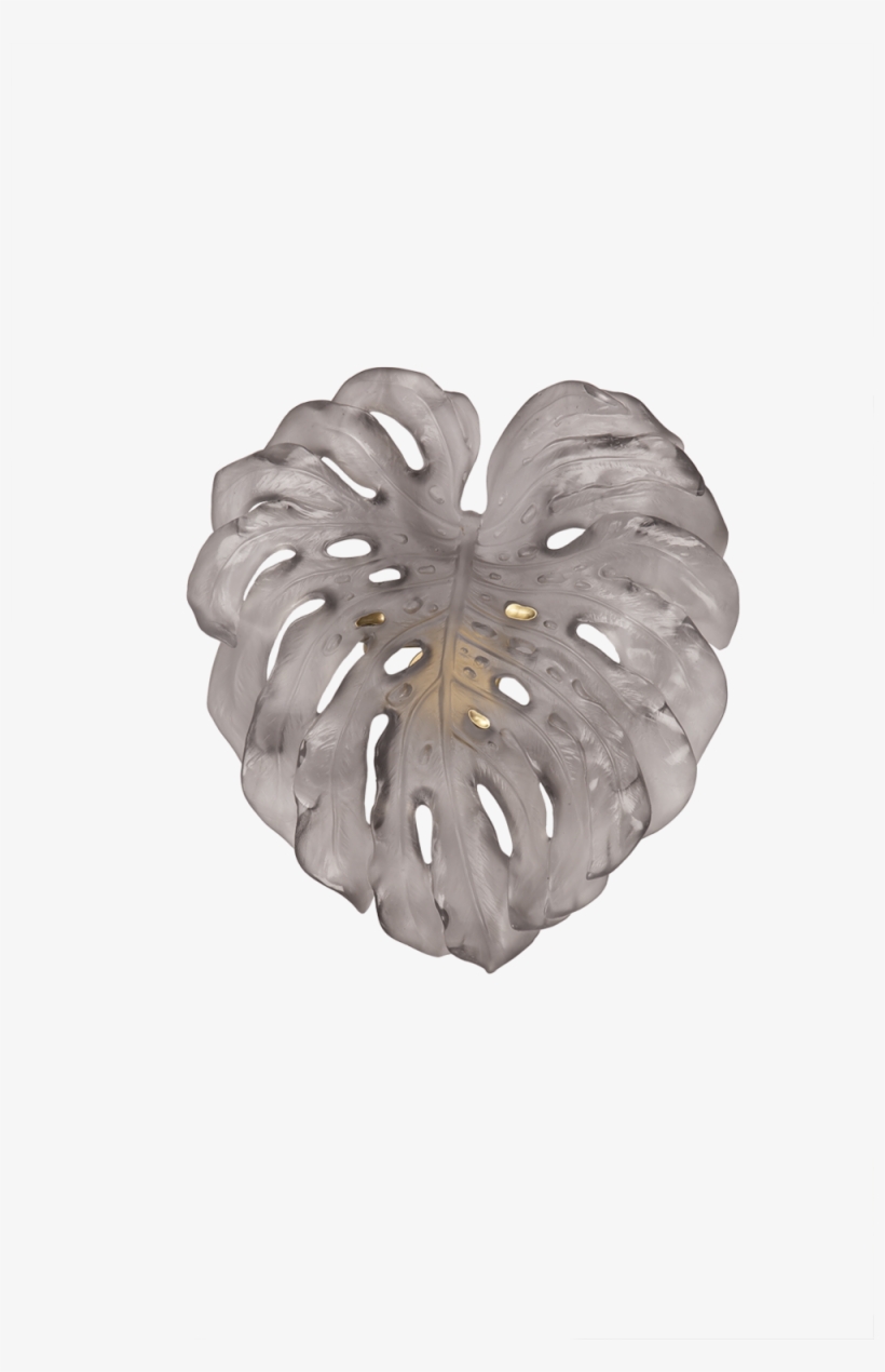 Monstera Feuille Murale Pm Grise 05276 340 05276 370, transparent png download
