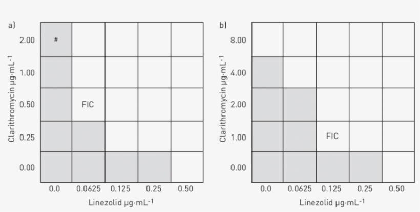 Schematic Median Checkerboard Of Mycobacterium Tuberculosis - Checkerboard Method, transparent png download
