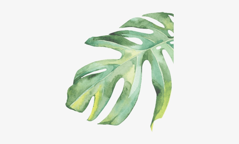 Flower - Love, transparent png download