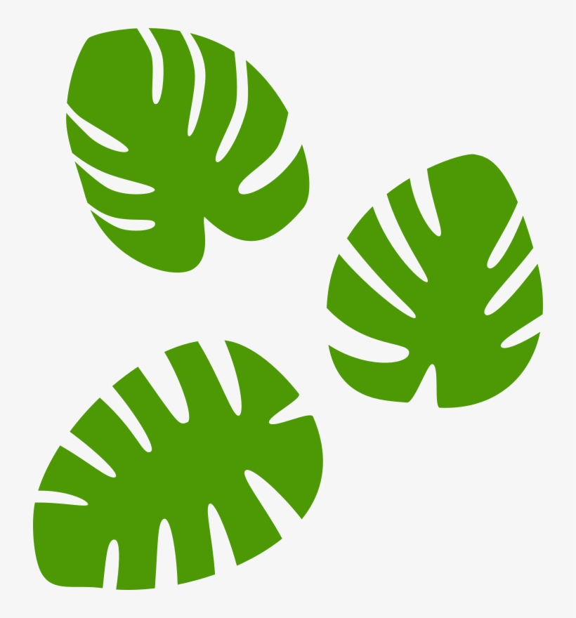 Medium Image - Monstera Clipart, transparent png download