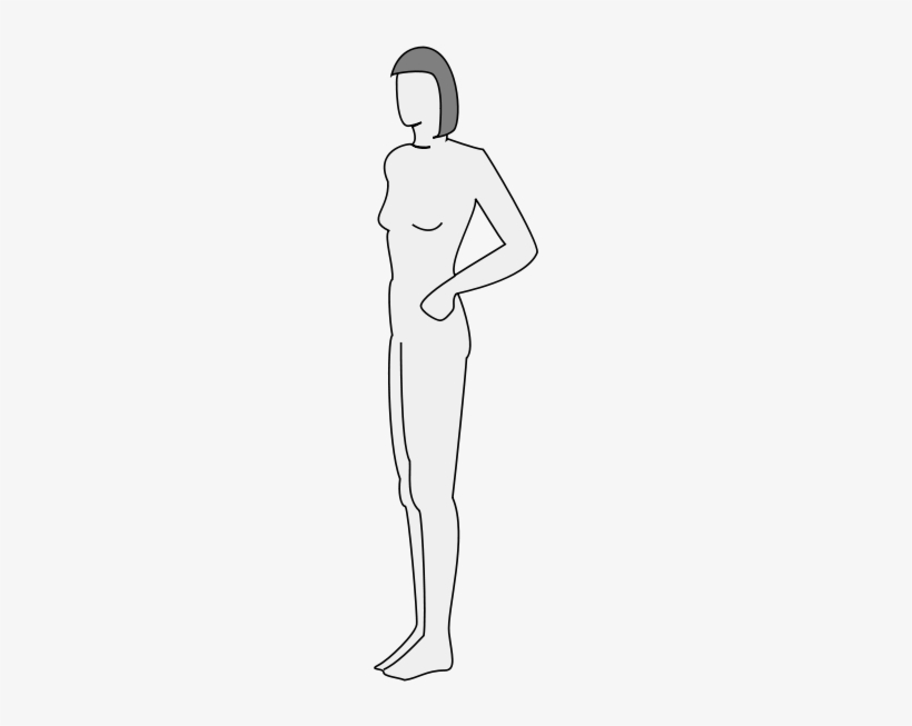 Female Body Silhouette - Illustration, transparent png download