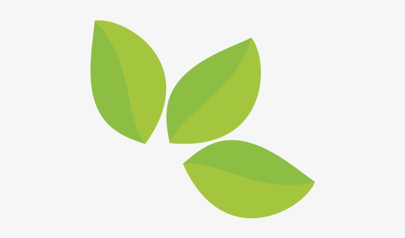 El Bienestar En Una Taza De Té - Tree, transparent png download