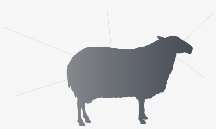 Roll Over Or Press The Graphic For Information - Lamb Eat Silhouette, transparent png download