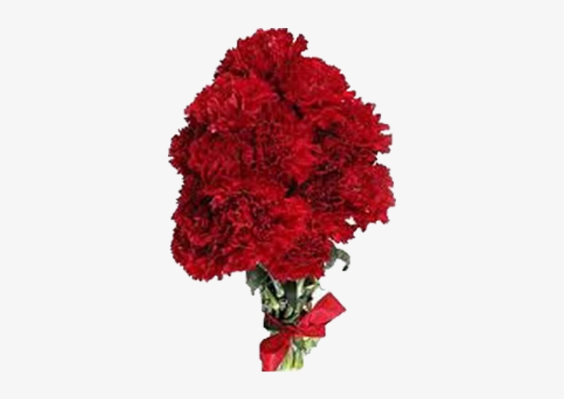 15 Red Carnation Roses - Red Carnations, transparent png download