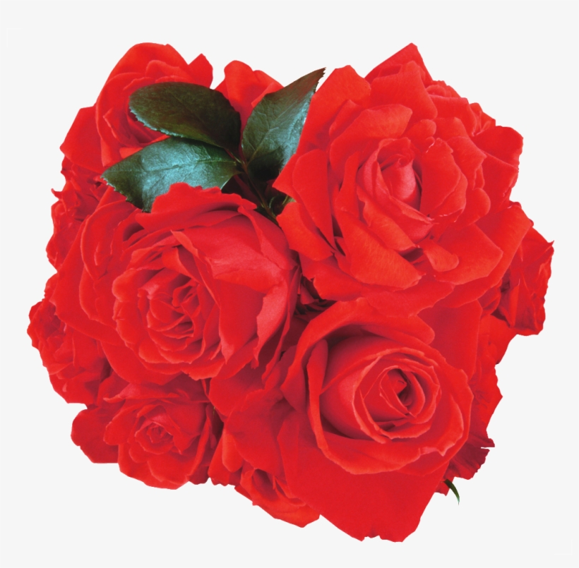 A Rose Bouquet Of Red Roses - Floribunda, transparent png download