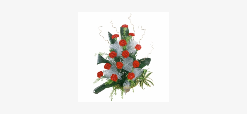 Carnation, transparent png download