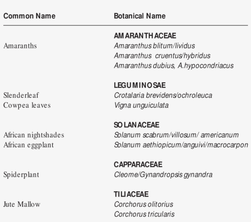 Some African Indigenous Vegetable Found On The Continent - Continent, transparent png download