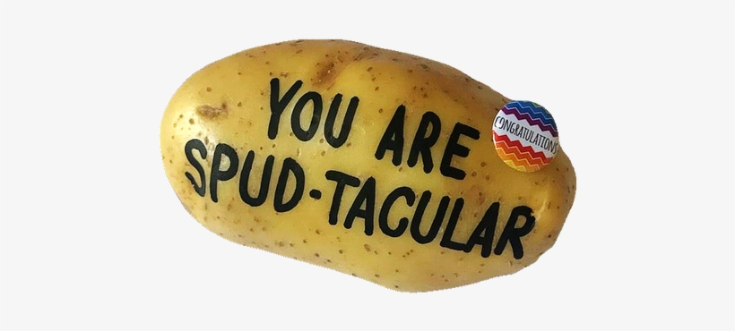 Congratulations Potato - Russet Burbank Potato, transparent png download