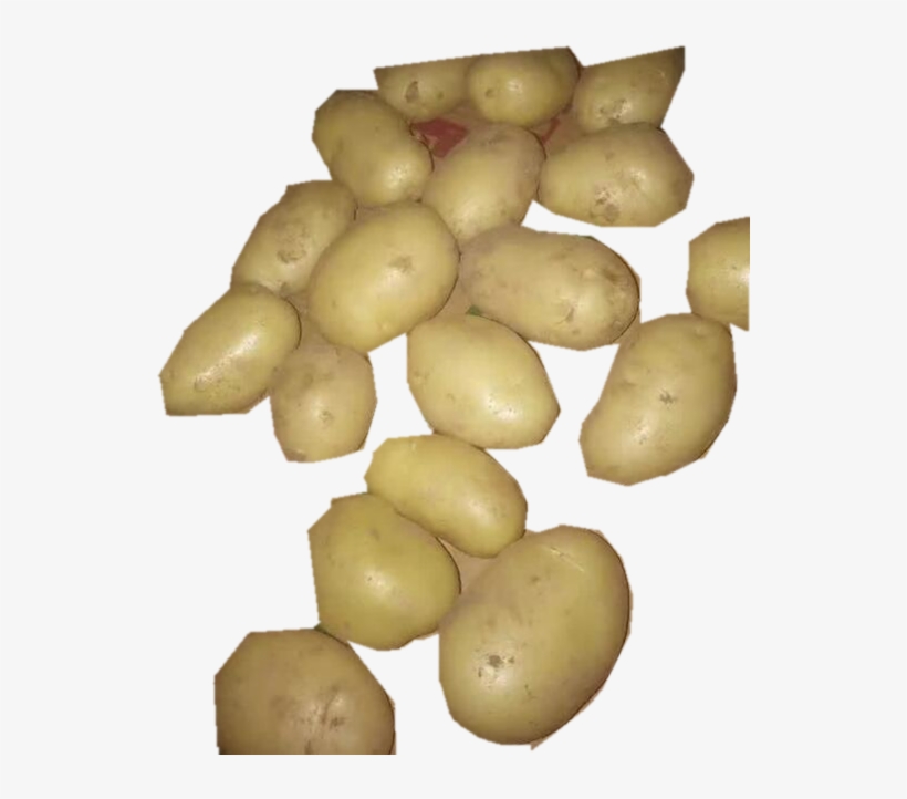 China Sales Potato, China Sales Potato Manufacturers - Potato, transparent png download