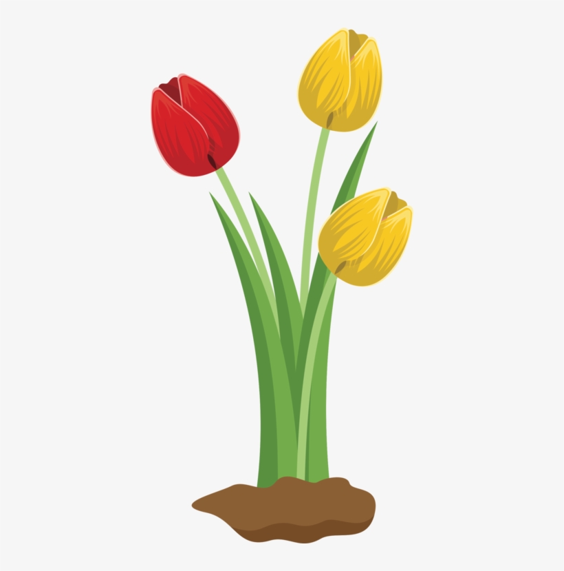 Tulip Cut Flowers Floral Design Petal - Tulips Flower Clipart, transparent png download