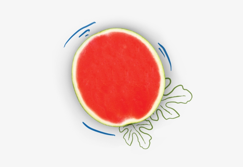 Watermelon, transparent png download