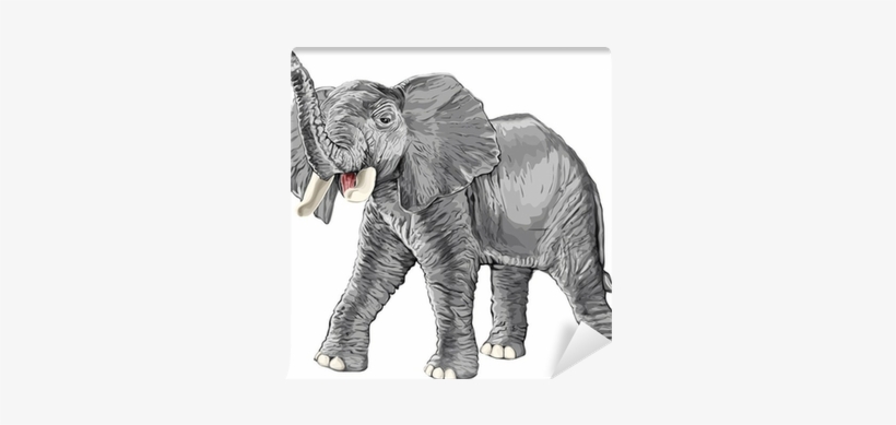Elephant, transparent png download