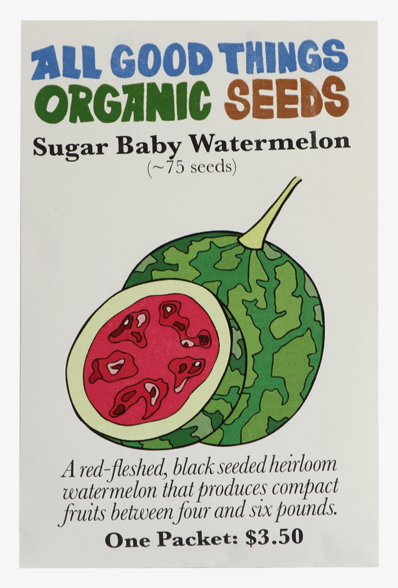 Sugar Baby Watermelon - Watermelon, transparent png download