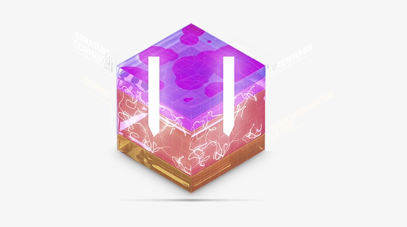 Sernivo Is Designed To Target The Skin Layers Where - Greeting Card, transparent png download