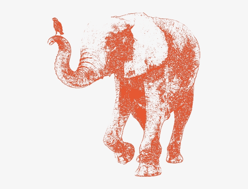 Elephant With A Bird On Its Trunk - Expense Management, transparent png download