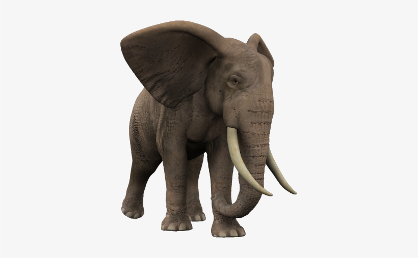 African Jungle African Elephant Png - Jungle Elephant Png, transparent png download