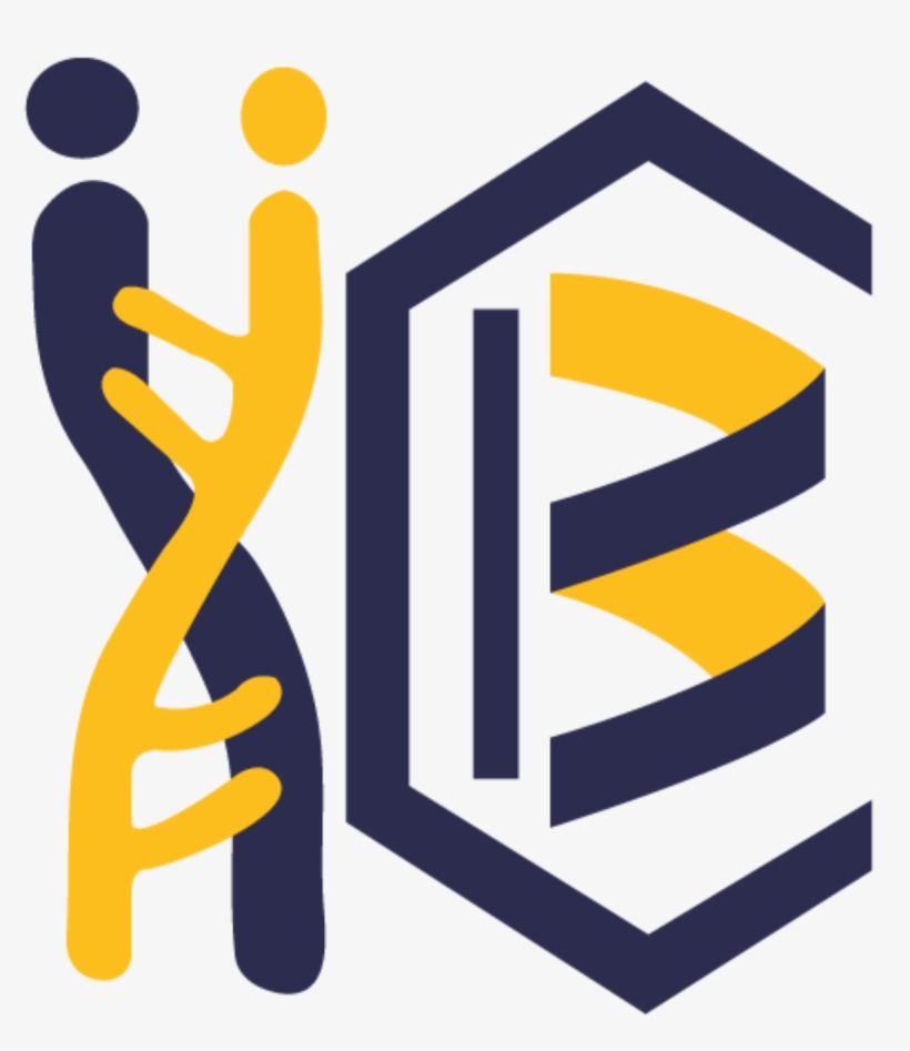 Indian Institute Of Chemical Biology Logo, transparent png download