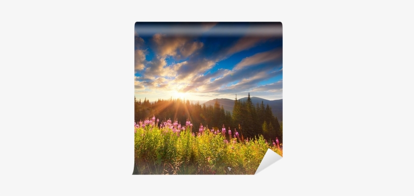 Beautiful Autumn Landscape In The Mountains With Pink - Photography, transparent png download