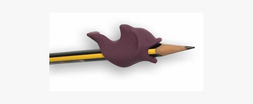 Dolphin Grip - Education, transparent png download