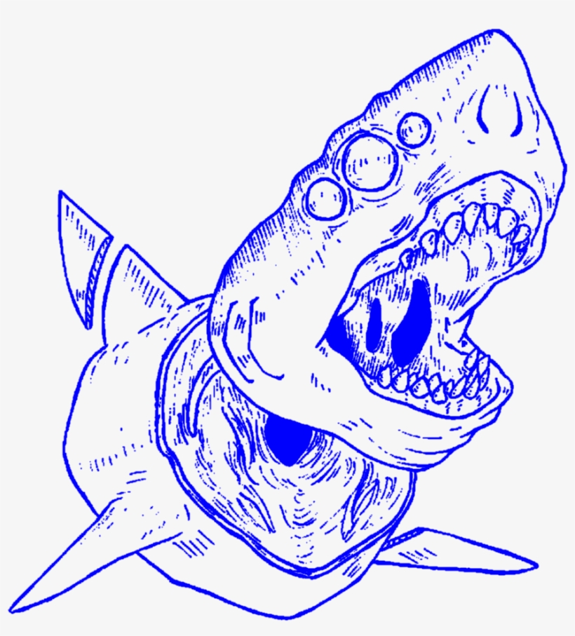 Aesthetic Art Lineart Outline Shark Sharks Decapitated - Shark Aesthetic Png, transparent png download